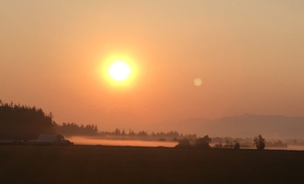 Laissez-faire Riding