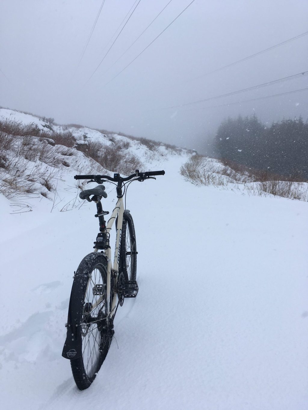 Tour de Lake&nbsp;Whatcom