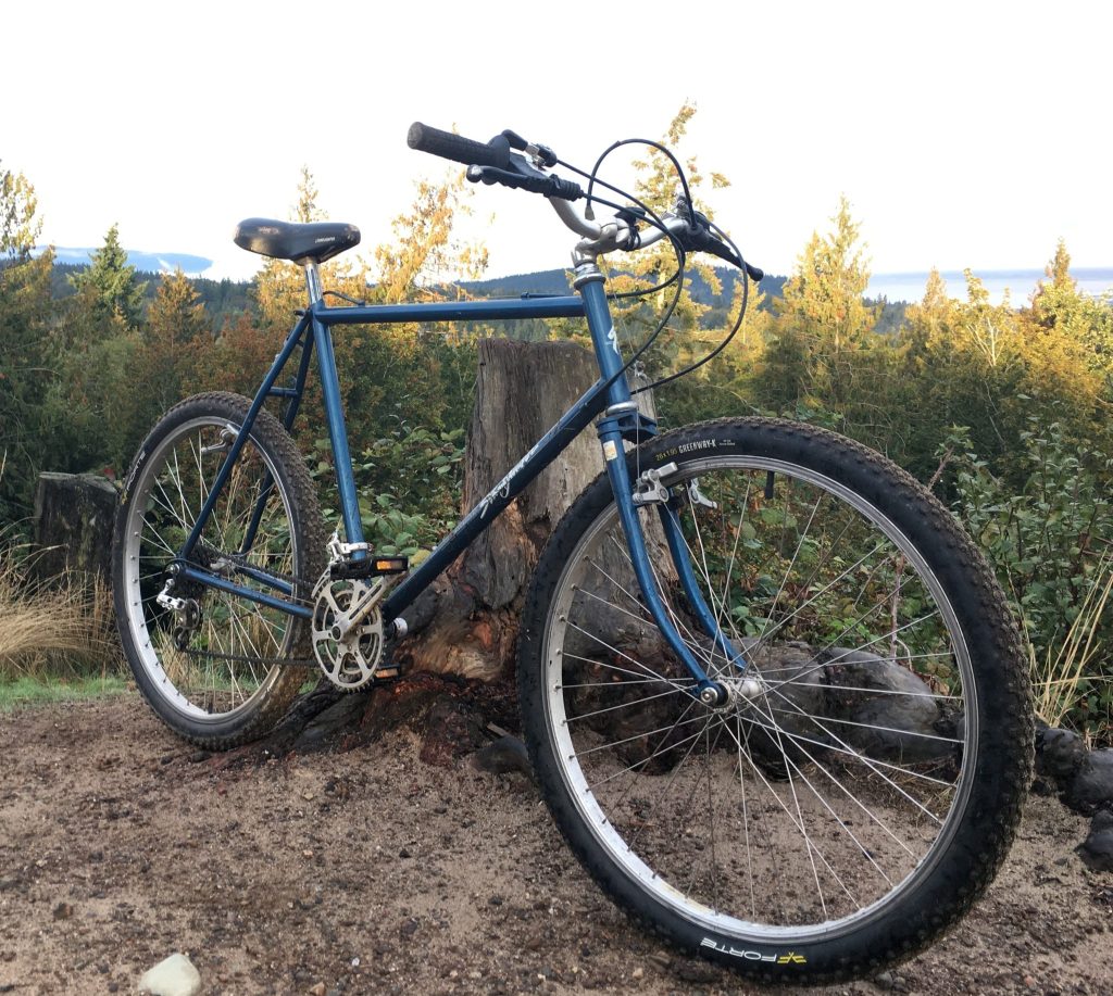 Early Stumpjumper