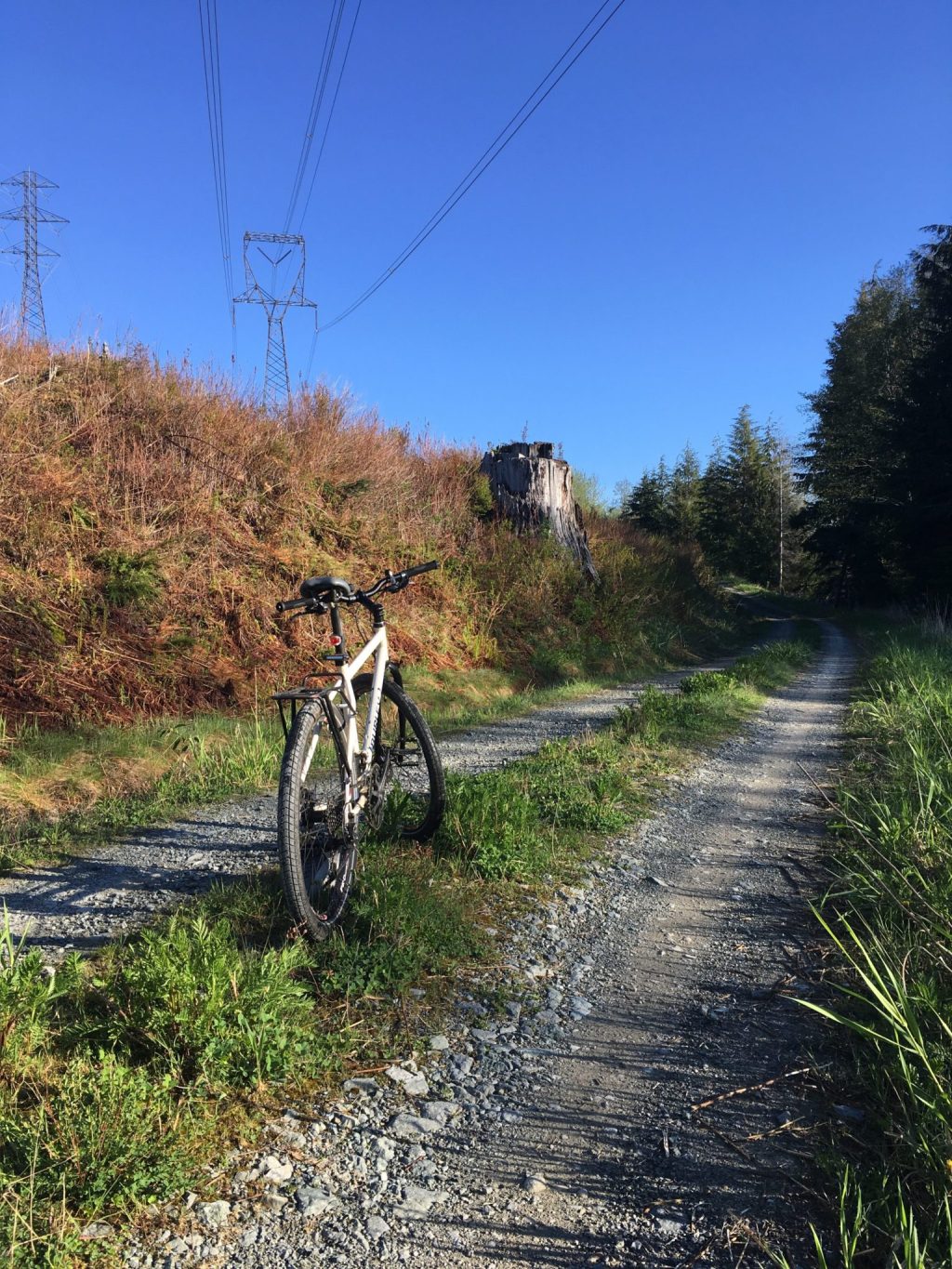 Tour de Lake Whatcom –&nbsp;Again