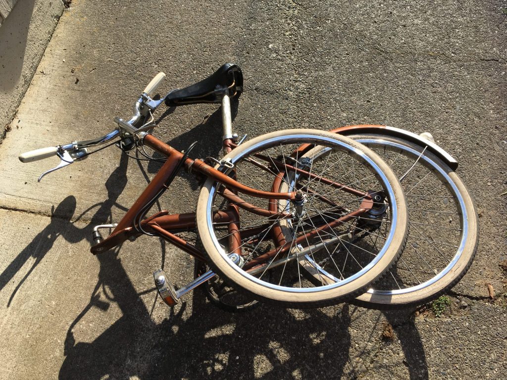 Raleigh Twenty Folder